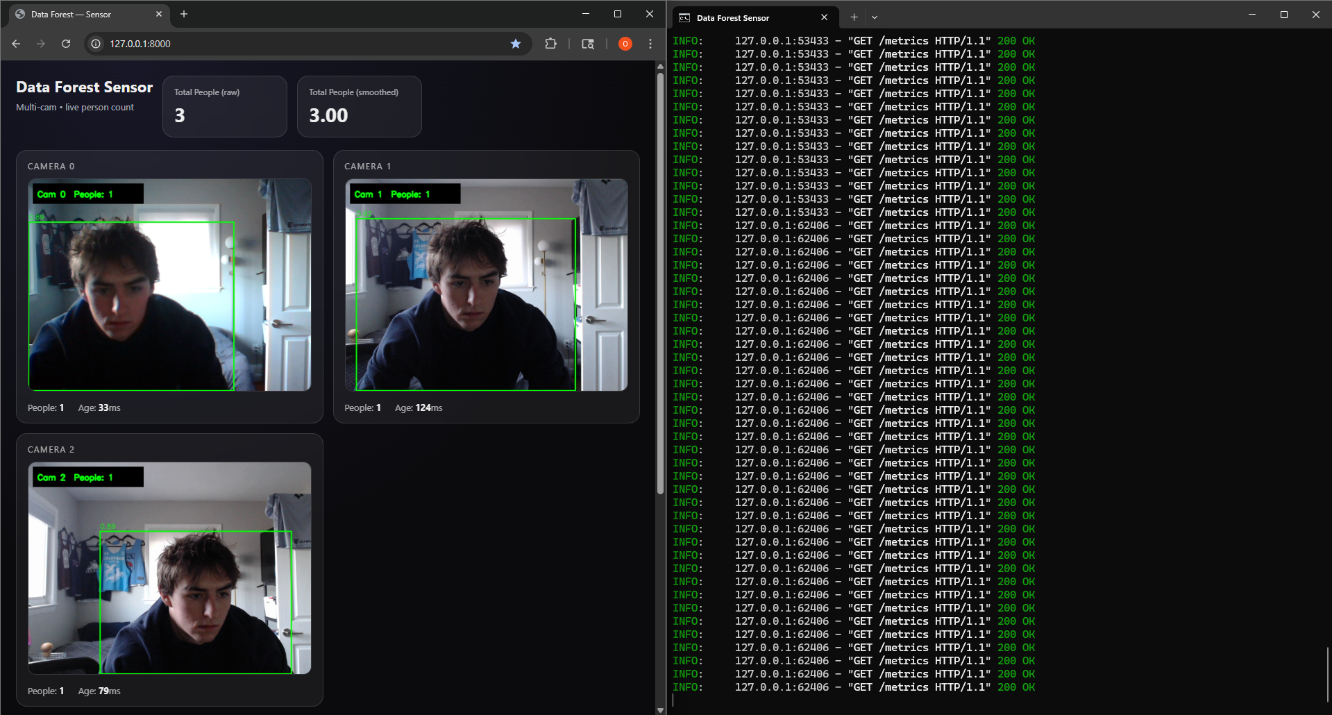 Scaled detection system with 3 cameras